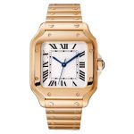 Auricbuy's Santos - Image 3