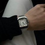 Auricbuy's Santos - Image 7