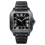 Auricbuy's Santos - Image 2