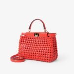 Fendi Peekaboo Mini - Image 5
