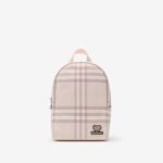 Check Backpack