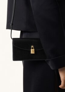 Loro Piana Extra Pochette - Image 4