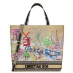 Dior Souvenir Large Soft Dior Book Tote