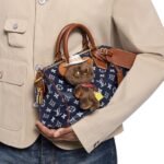 LV Louis Bear Bag Charm - Image 2