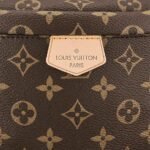 Louis Vuitton Bumbag - Image 4